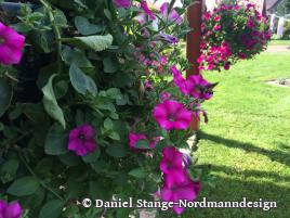 Schulzentrum Fallersleben (Wolfsburg)